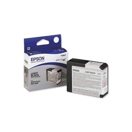 Epson T580 Light Black (80 ml) originální