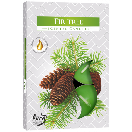 Vonná čajová svíčka Jedle Fir tree 6 ks v krabičce