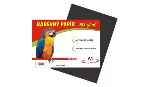 Barevný papír A4, 80g, 100listů