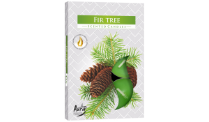 Vonná čajová svíčka Jedle Fir tree 6 ks v krabičce