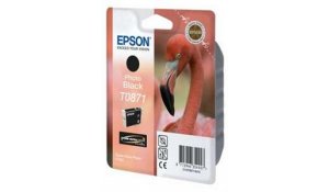 EPSON SP R1900 Photo black Ink Cartridge (T0871) originální